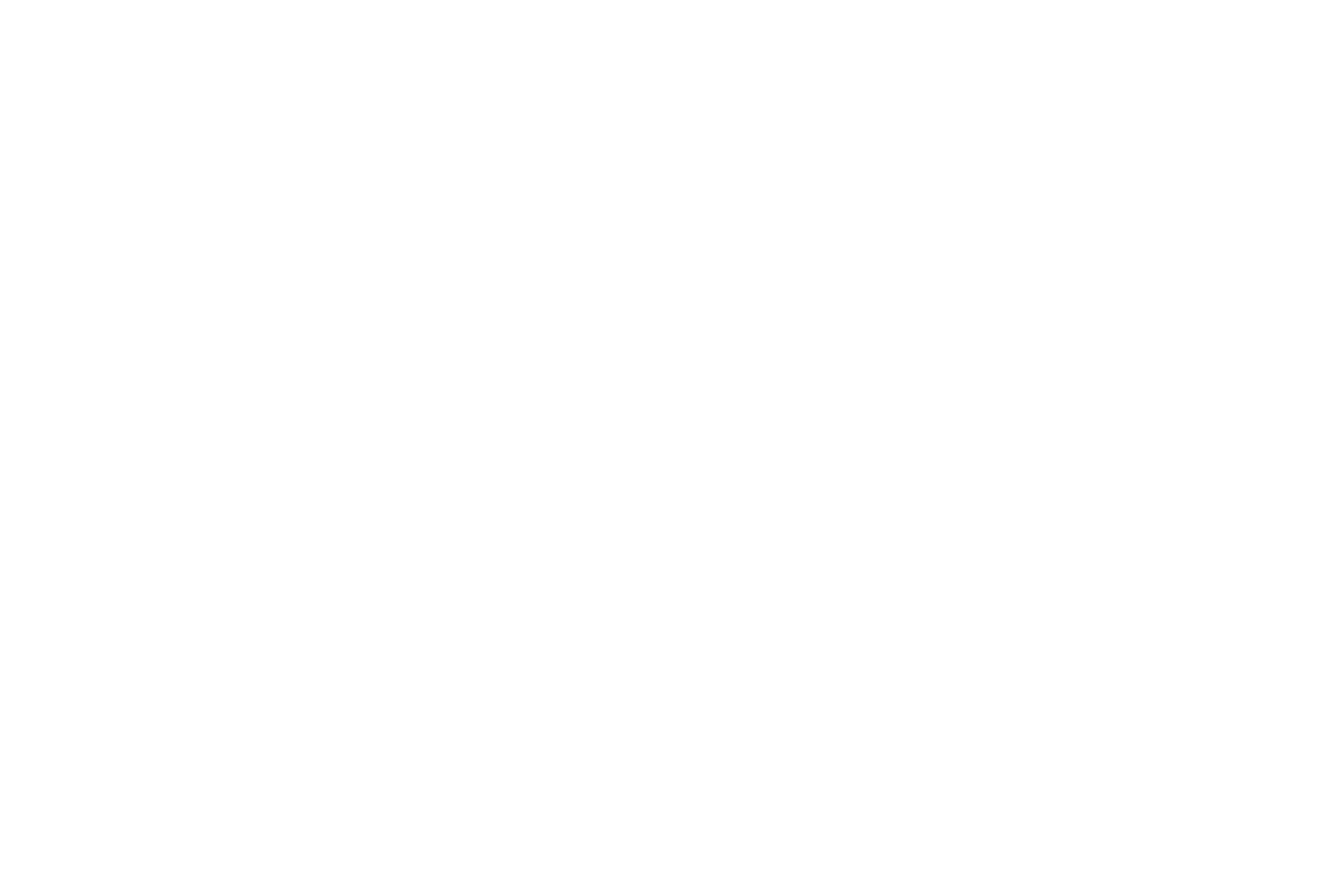 Beatrice Ehrle logo