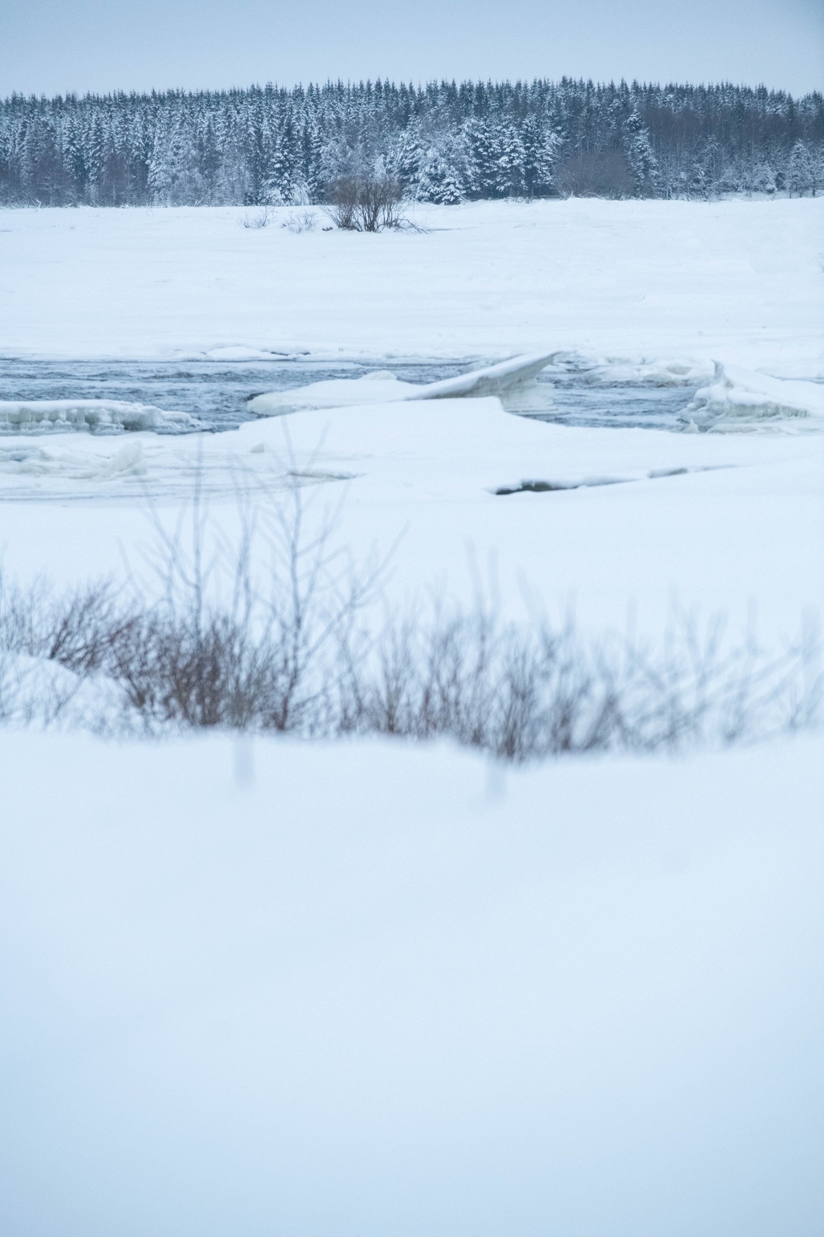 Fotografie aus Schwedisch Lappland