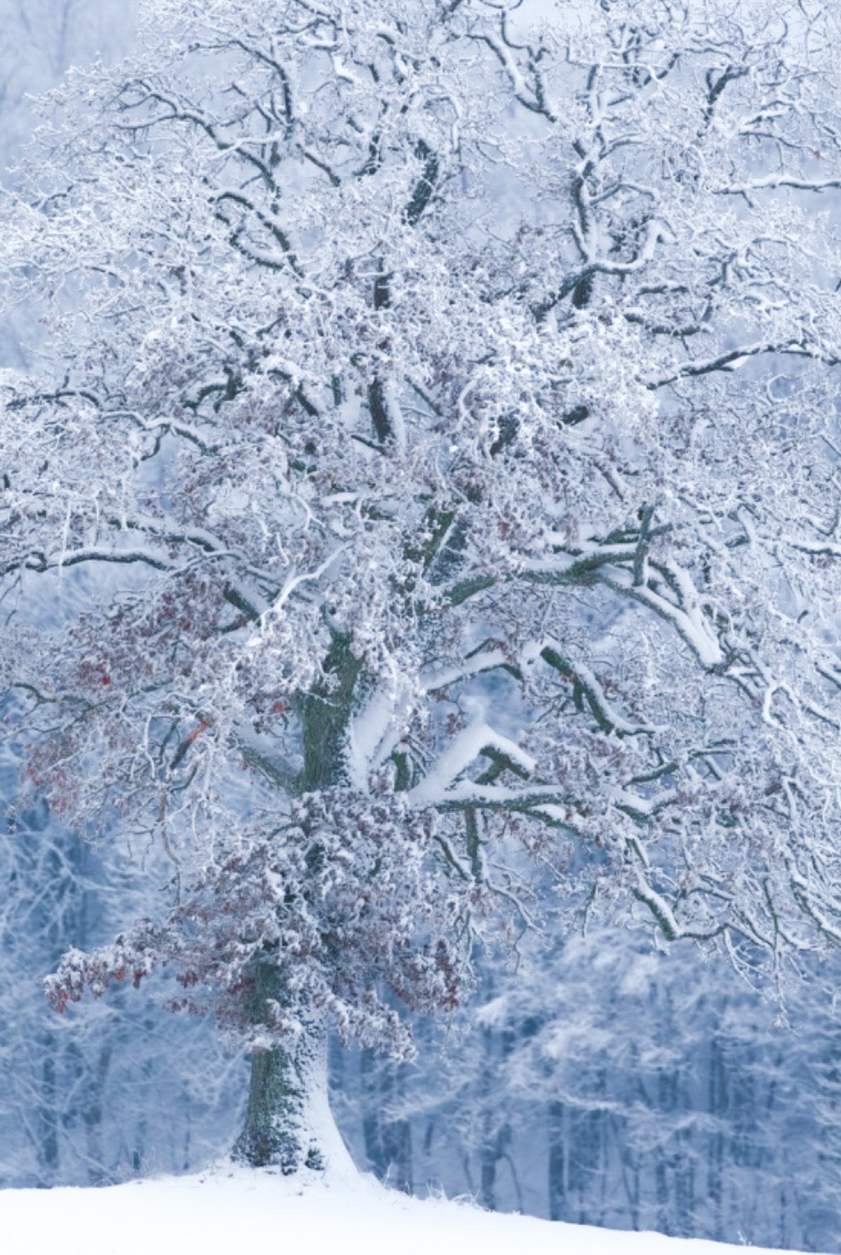 Landschaften Fotografie von Beatrice Ehrle