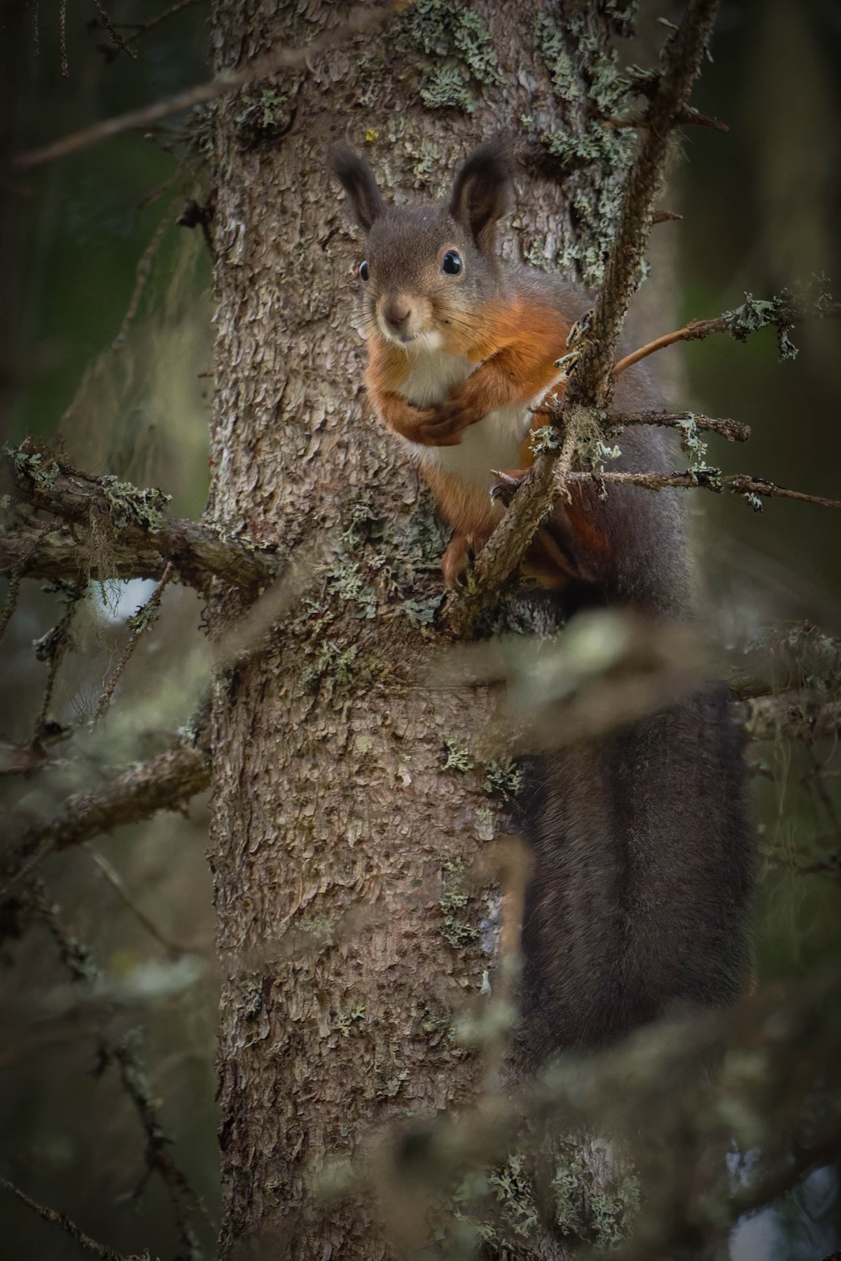 Tierwelt Fotografie von Beatrice Ehrle
