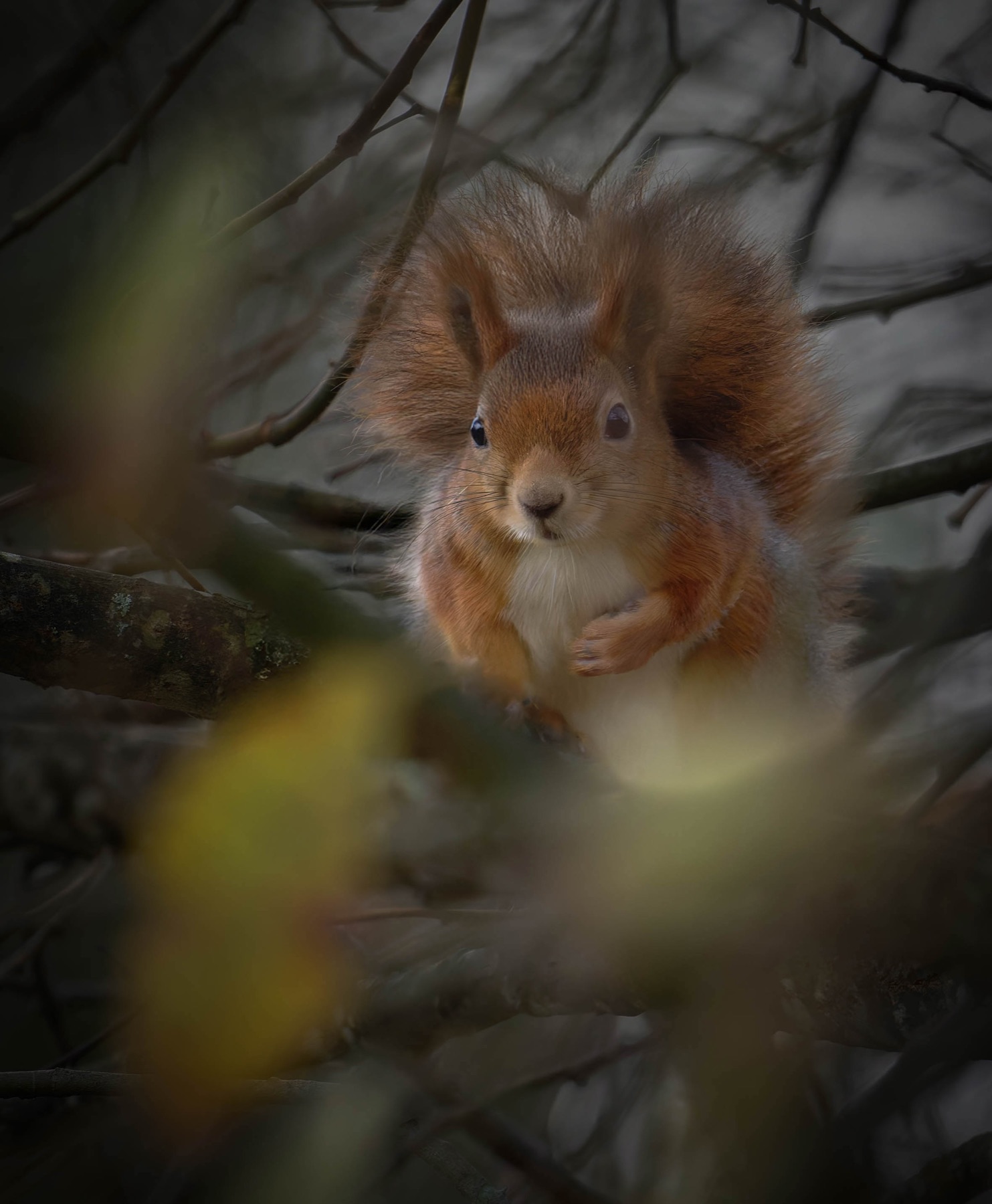 Tierwelt Fotografie von Beatrice Ehrle