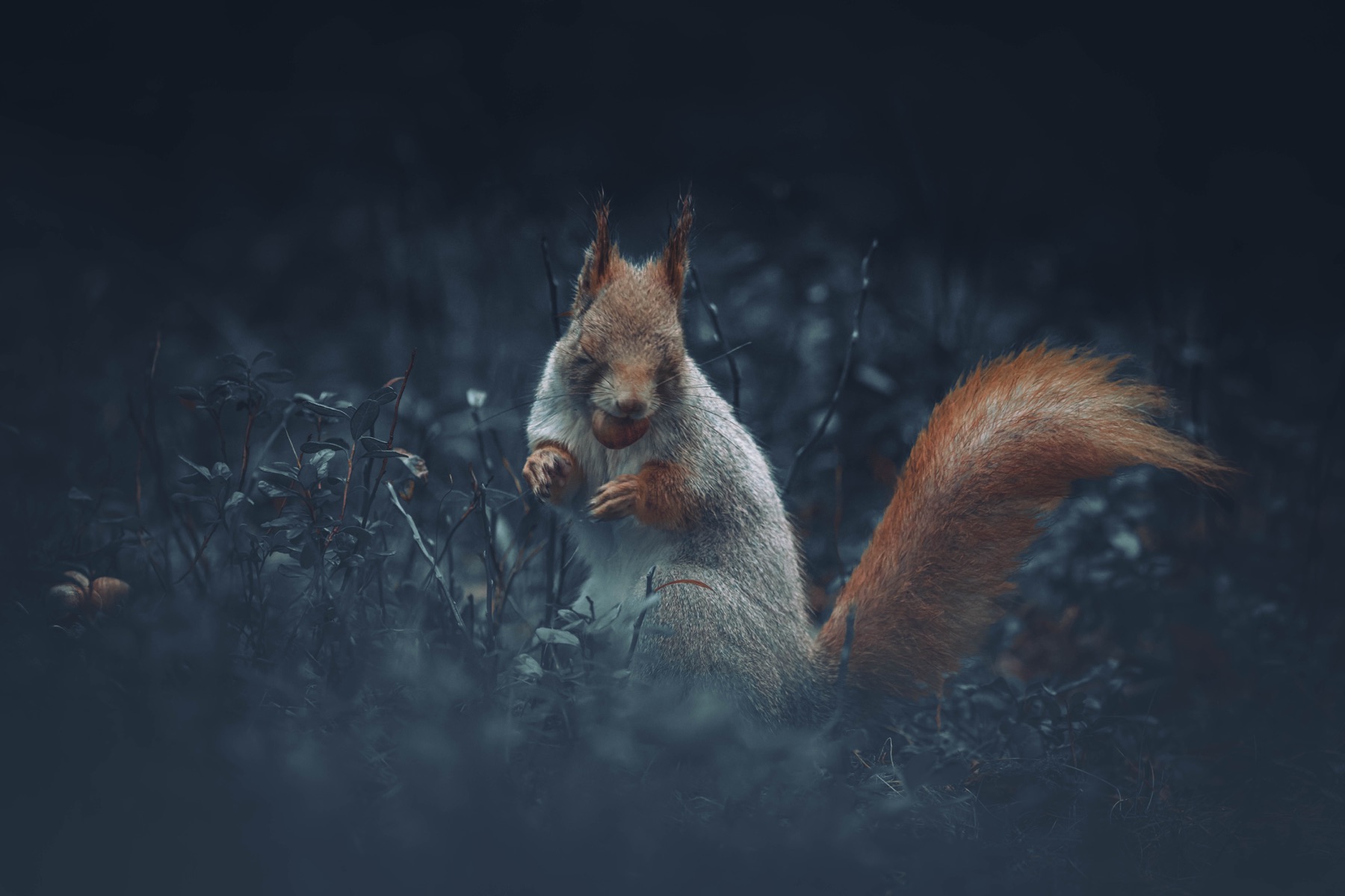 Tierwelt Fotografie von Beatrice Ehrle