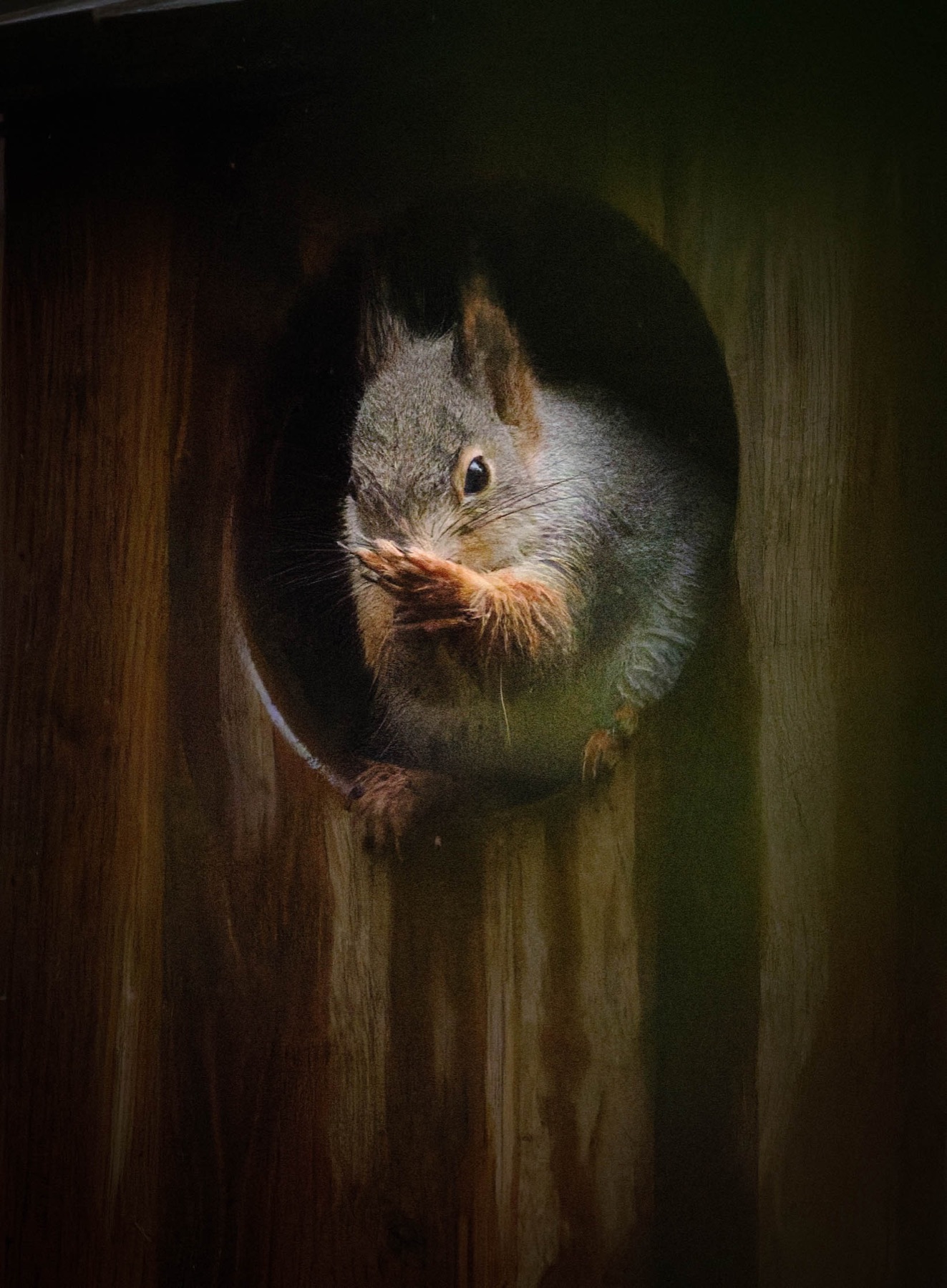 Tierwelt Fotografie von Beatrice Ehrle