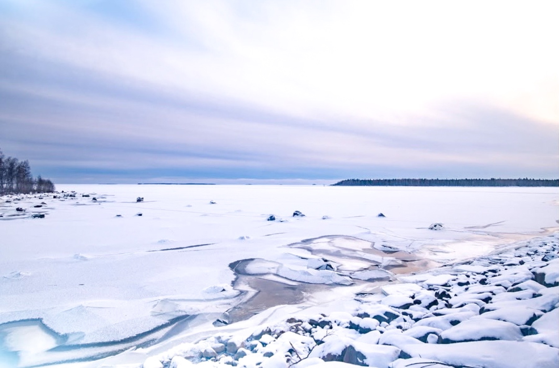 Tierwelt Fotografie von Beatrice Ehrle