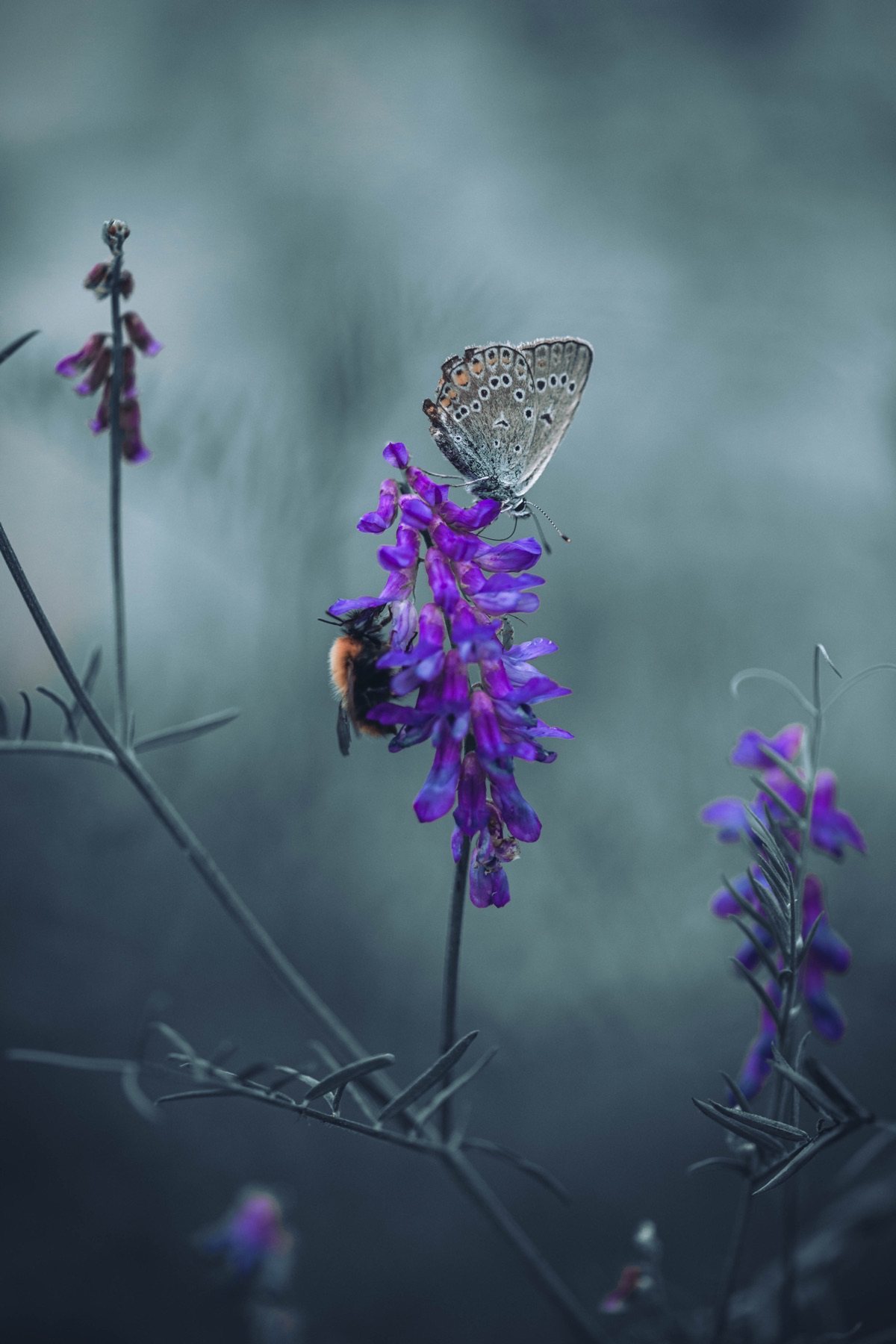 Tierwelt Fotografie von Beatrice Ehrle