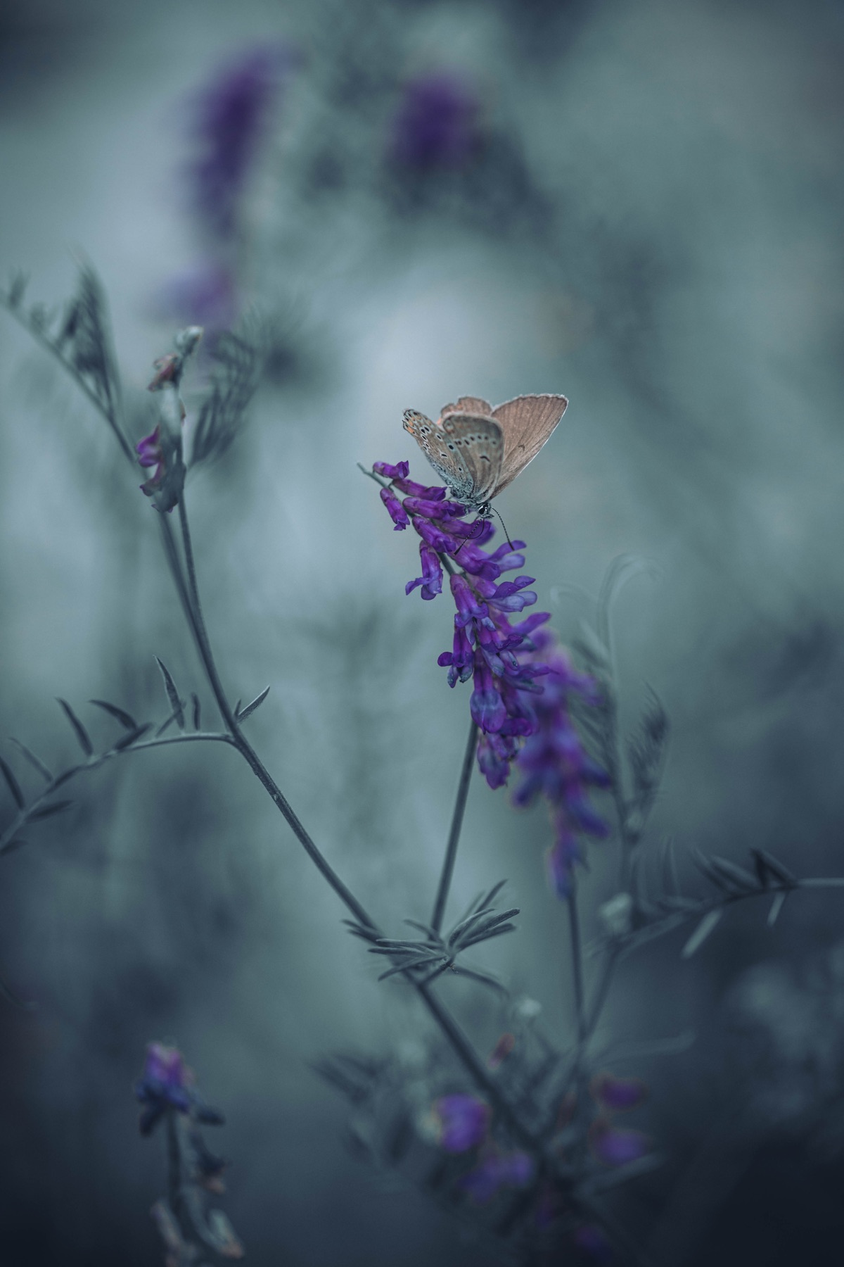 Tierwelt Fotografie von Beatrice Ehrle