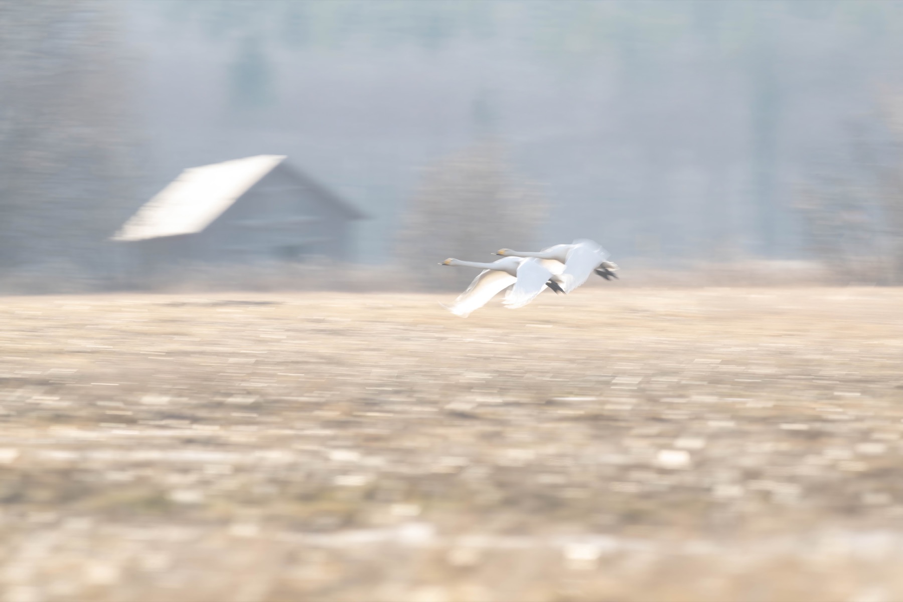 Tierwelt Fotografie von Beatrice Ehrle