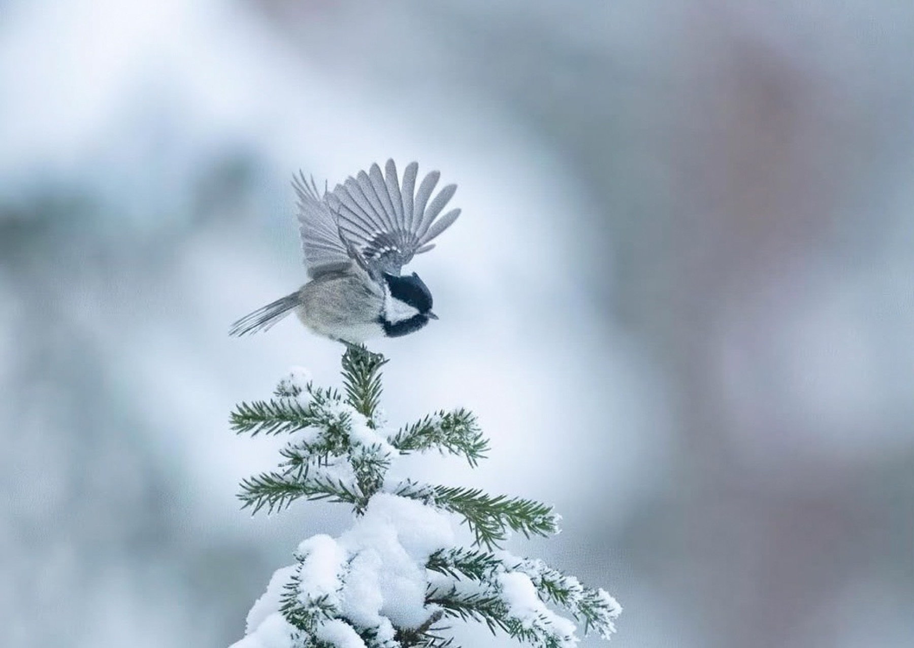Tierwelt Fotografie von Beatrice Ehrle