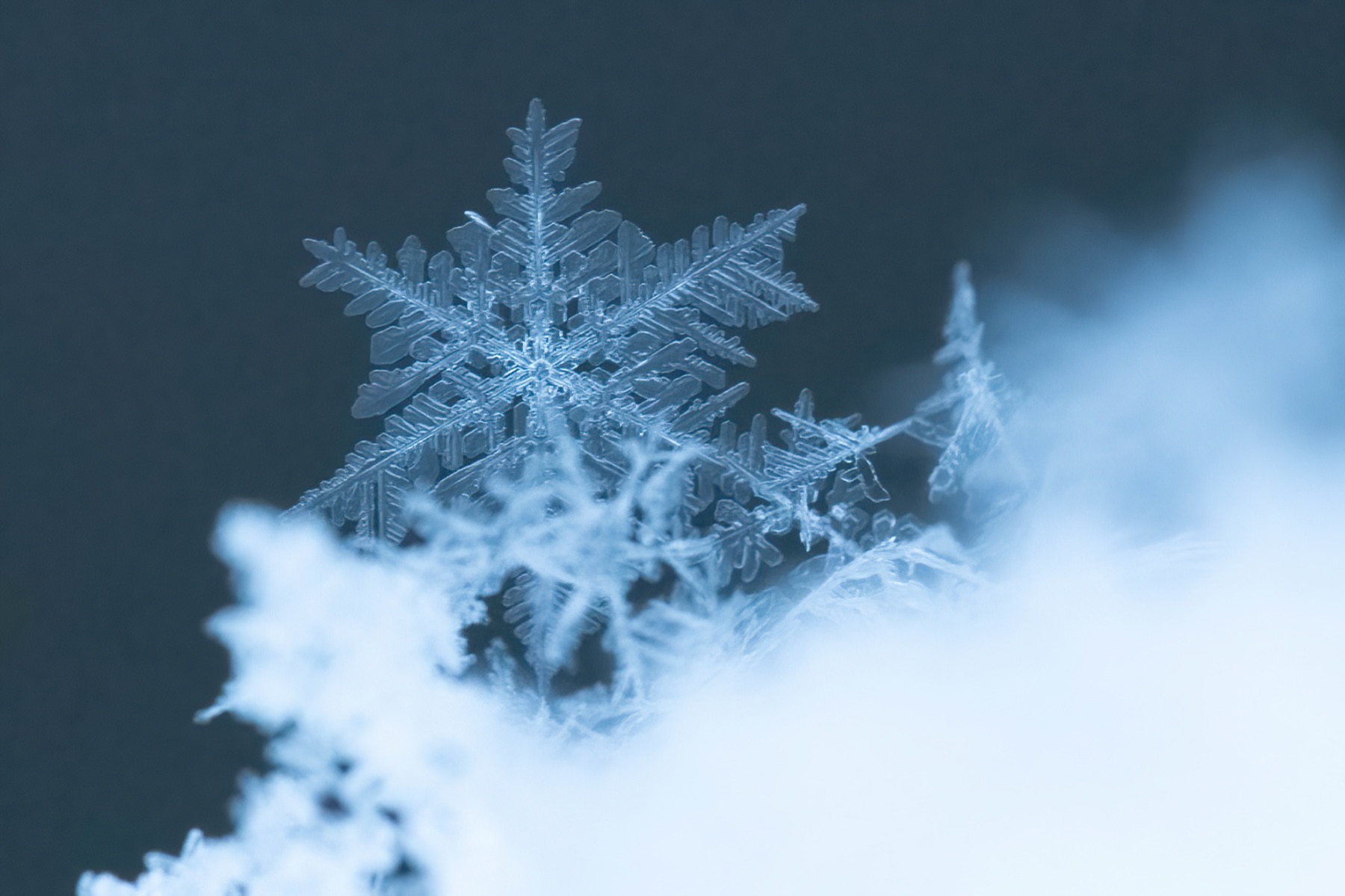 Winterwelten Fotografie von Beatrice Ehrle