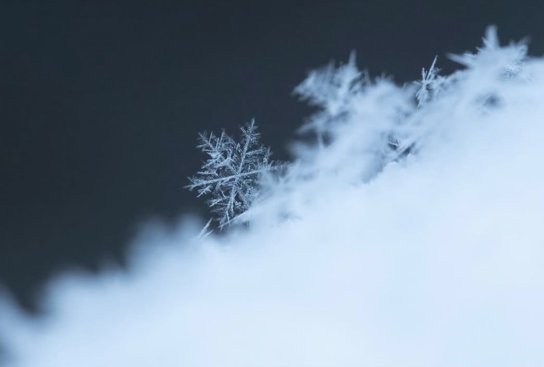 Winterwelten Fotografie von Beatrice Ehrle